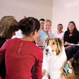 University hosts conference on animal-assisted therapy