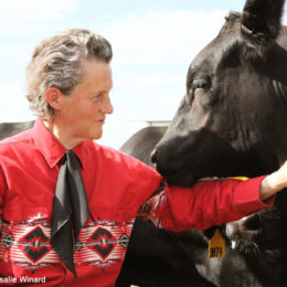 Temple Grandin a featured speaker at conference on human-animal connection